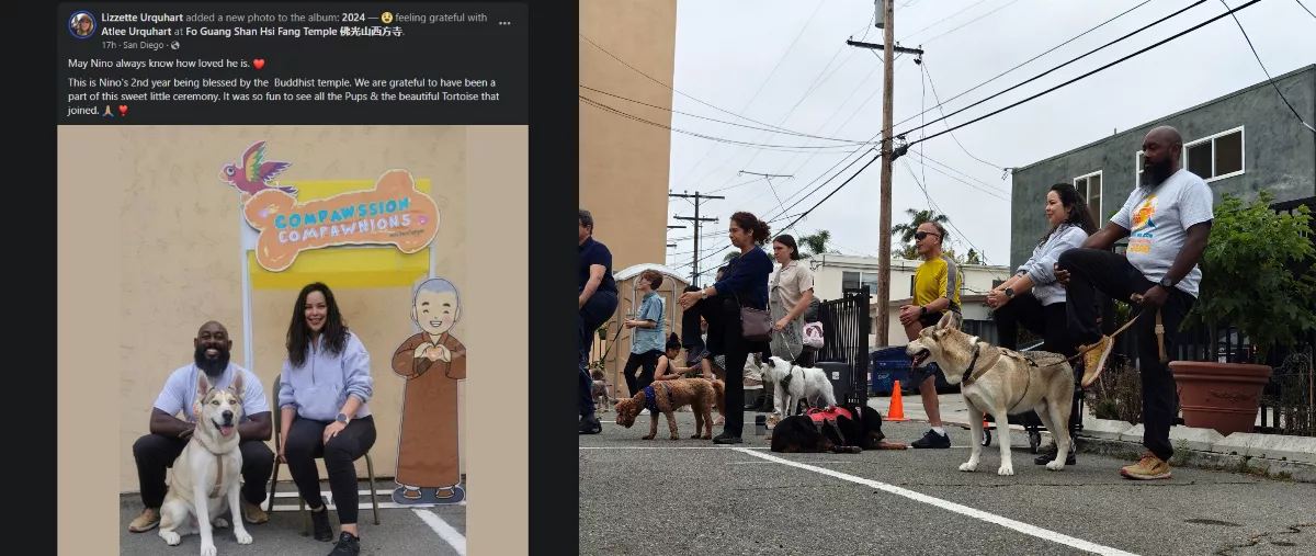 Hsi Fang Temple Fur Baby Walking and Blessing Ceremony: Connecting the Community of University Heights